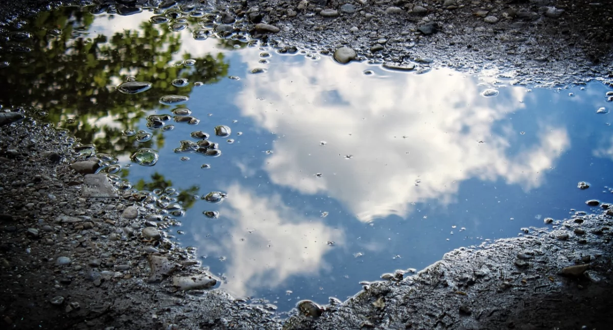 Interwencje, Niebezpiecznie drodze Myśliwca - zdjęcie, fotografia