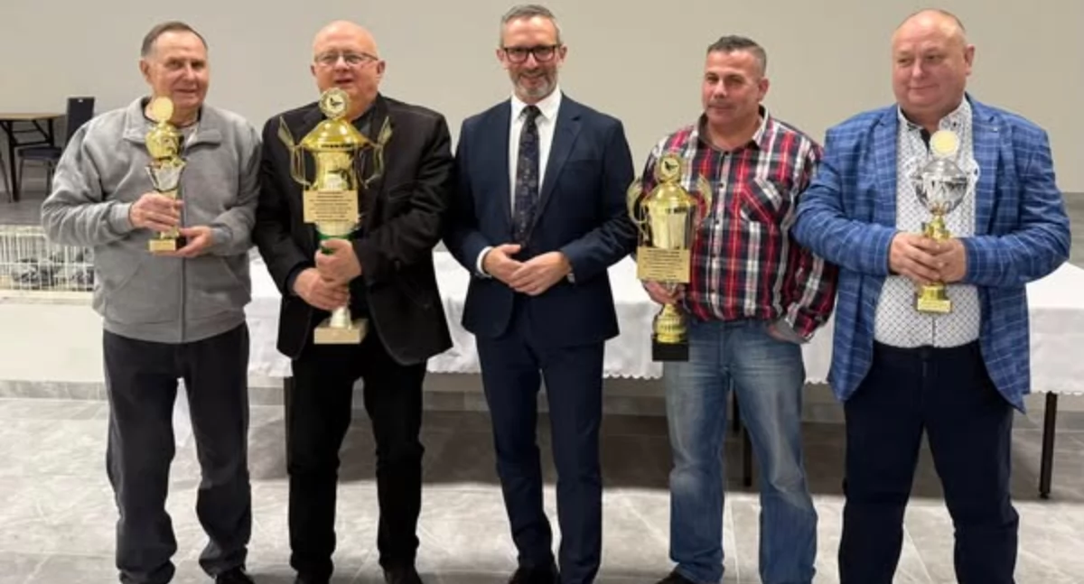 Stowarzyszenia i organizacje, spotkań przedświątecznych - zdjęcie, fotografia