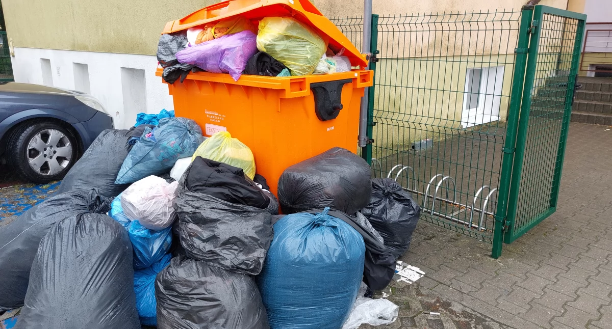 Interwencje, Kłopotliwe tekstylia - zdjęcie, fotografia