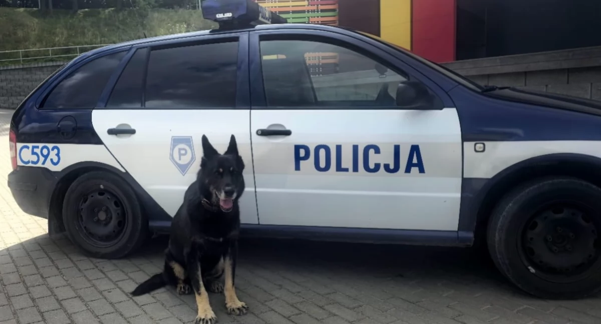 Komunikaty i profilaktyka, Zasłużona emerytura latach pracy policji - zdjęcie, fotografia