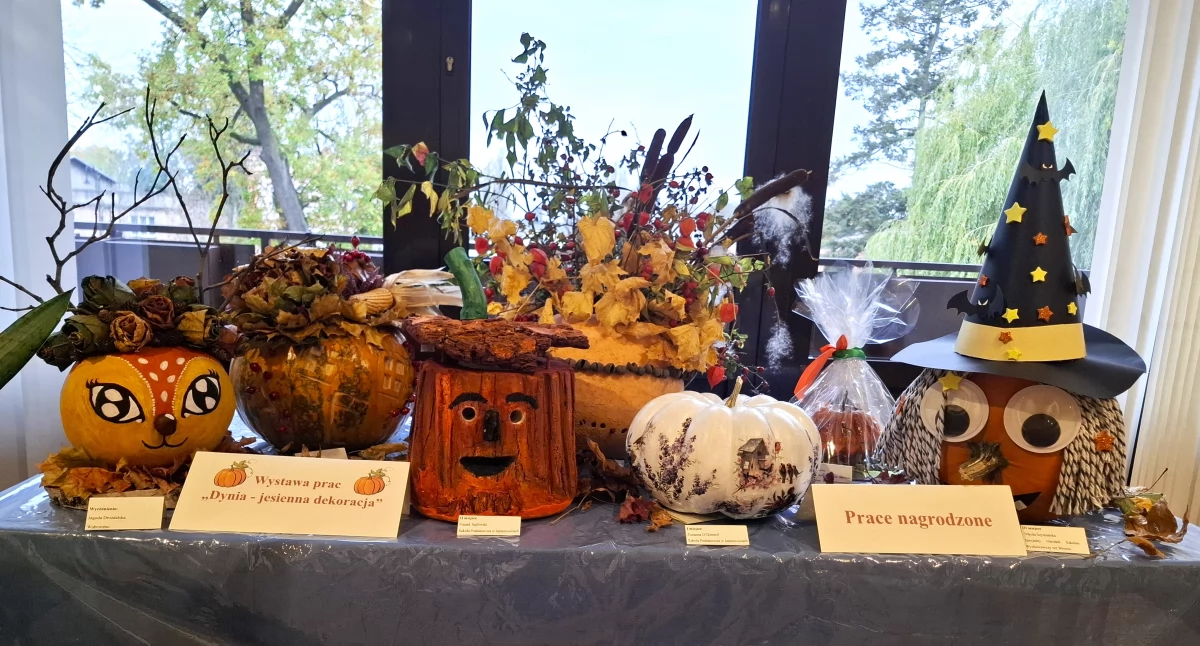 Domy kultury, Rozstrzygnięcie dyniowego konkursu - zdjęcie, fotografia