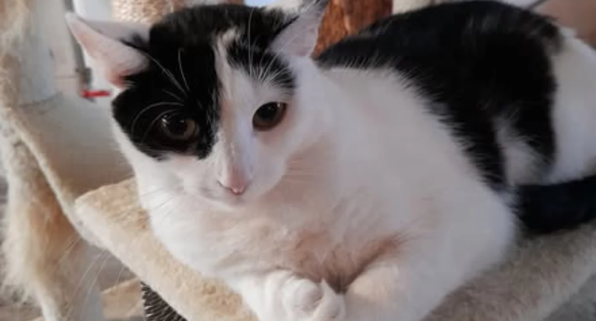 Stowarzyszenia i organizacje, Blaski cienie działalności - zdjęcie, fotografia