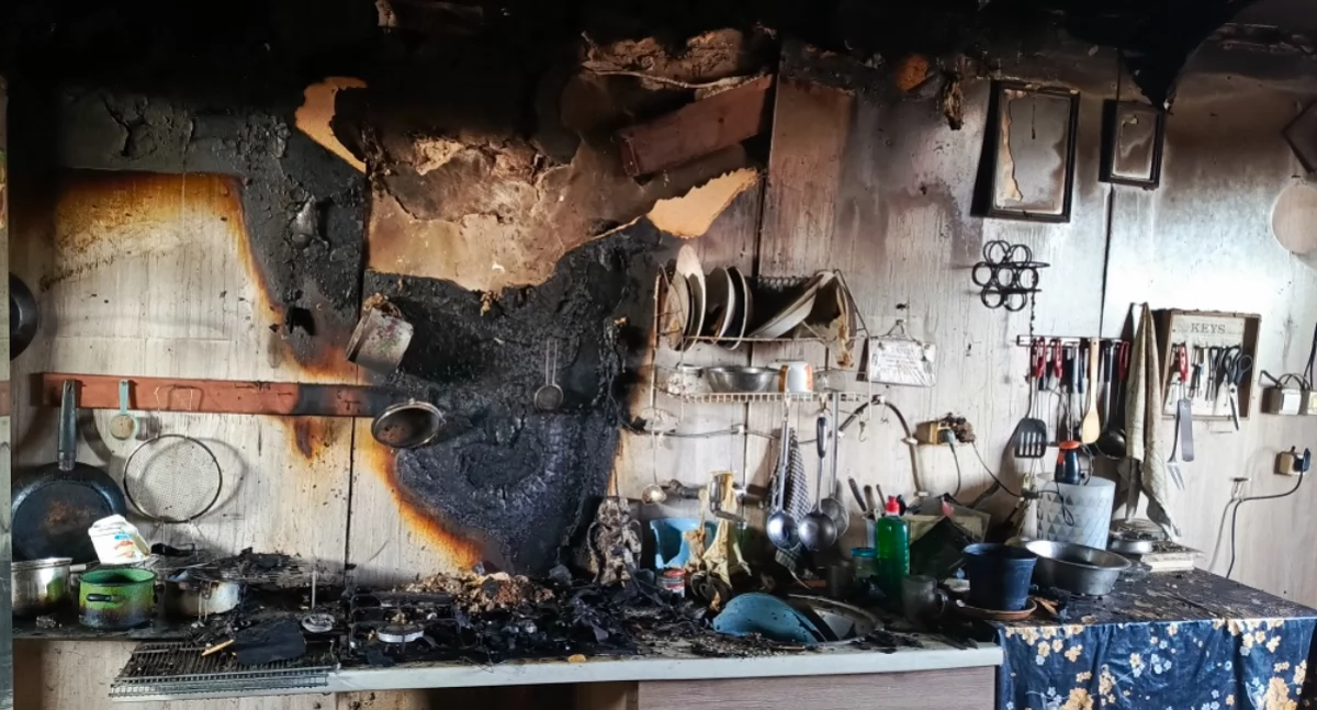 Pożary, Wynieśli nieprzytomnego latka pożaru - zdjęcie, fotografia