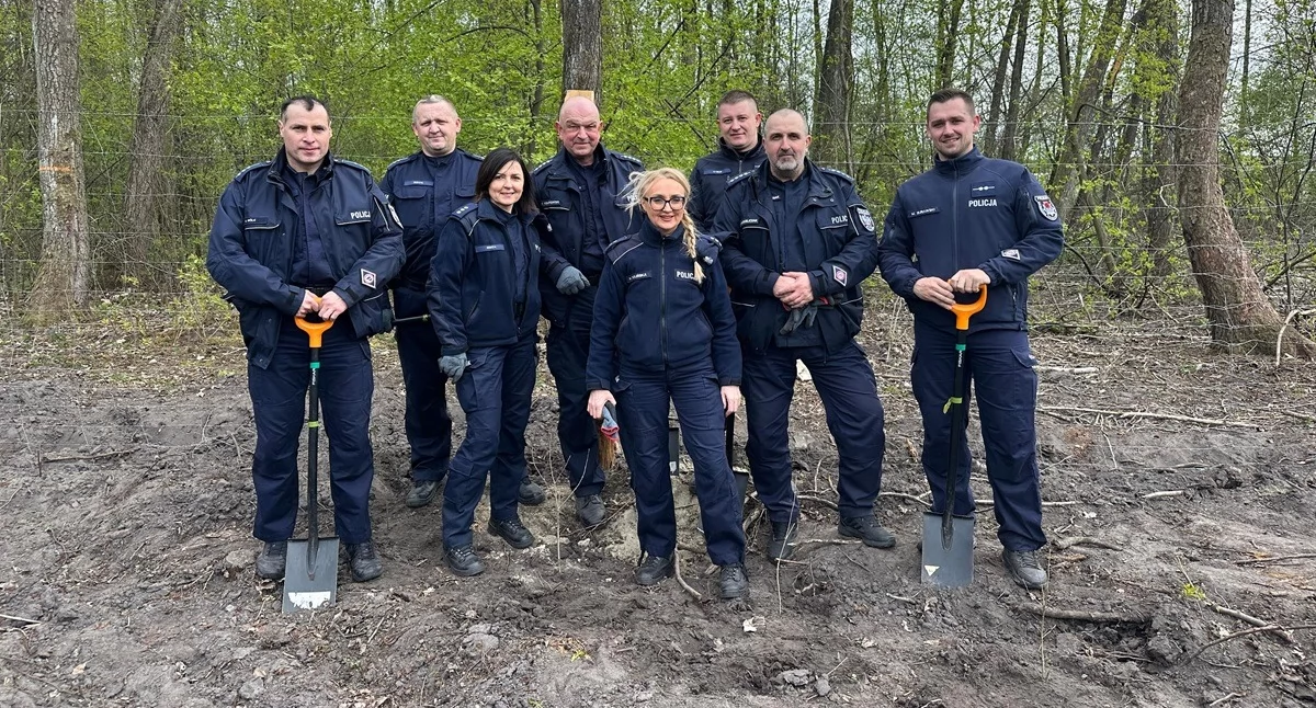 Komunikaty i profilaktyka, Policjanci lesie robili - zdjęcie, fotografia