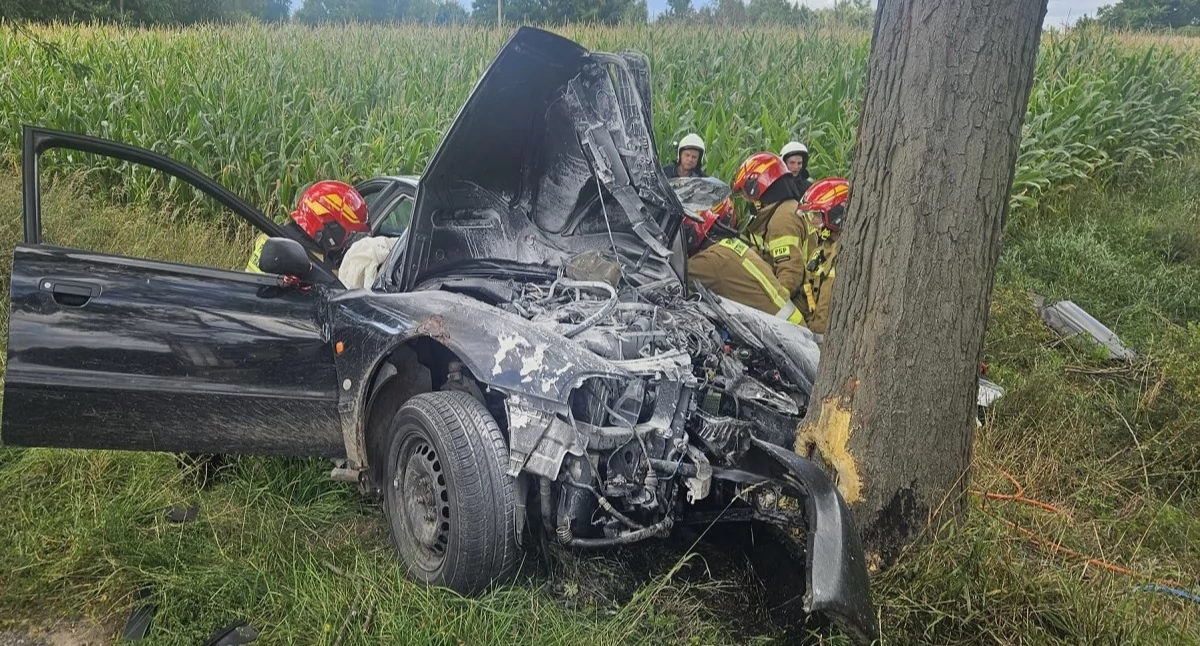 Wypadki, Pijany latek uciekał przed policją Skończył jazdę drzewie - zdjęcie, fotografia