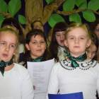 zdjęcie nr 48