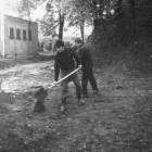 zdjęcie nr 32