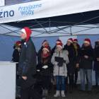 zdjęcie nr 12