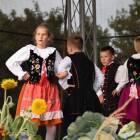 zdjęcie nr 153