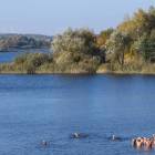 zdjęcie nr 77