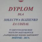 zdjęcie nr 17