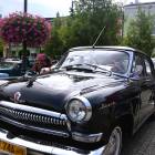 Fotka nr 4 z 75