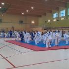 Fotka nr 2 z 15