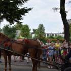 zdjęcie nr 65