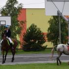 zdjęcie nr 128