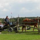 zdjęcie nr 80