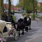 zdjęcie nr 78