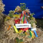 zdjęcie nr 16