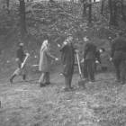 zdjęcie nr 59