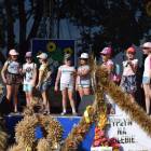 zdjęcie nr 164