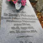 zdjęcie nr 11