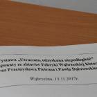 zdjęcie nr 17