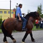 zdjęcie nr 142