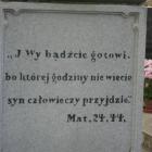zdjęcie nr 16