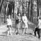 zdjęcie nr 54