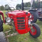 Fotka nr 2 z 15