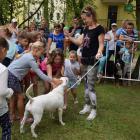 zdjęcie nr 173