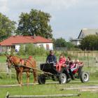 zdjęcie nr 35