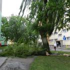 zdjęcie nr 21