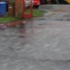 zdjęcie nr 9