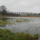 zdjęcie nr 16