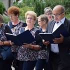 zdjęcie nr 178