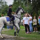 zdjęcie nr 47
