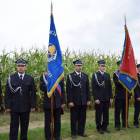 zdjęcie nr 155