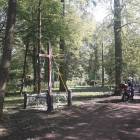 zdjęcie nr 31