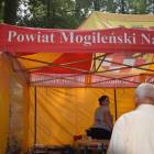 zdjęcie nr 276