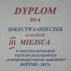 zdjęcie nr 18