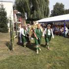 zdjęcie nr 7