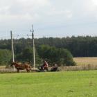 zdjęcie nr 33