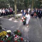 zdjęcie nr 20