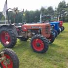 Fotka nr 3 z 15