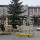 zdjęcie nr 11