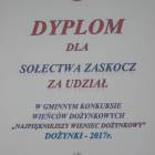 zdjęcie nr 15