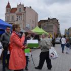 zdjęcie nr 14