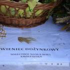 zdjęcie nr 147