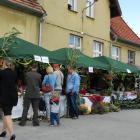 zdjęcie nr 54